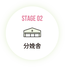 分娩舎
