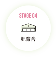 肥育舎